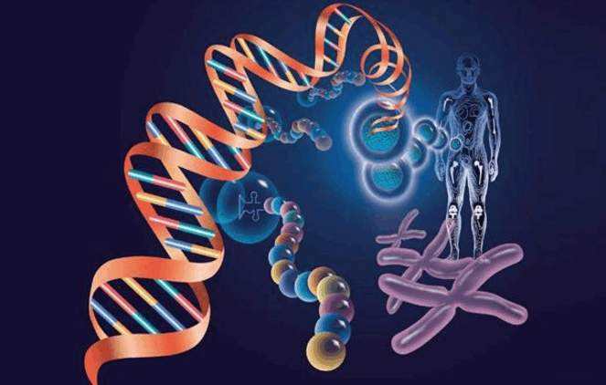 020701.jpg 020701.jpg