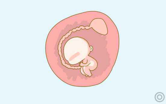胎儿可以做亲子鉴定吗? 胎儿可以做亲子鉴定吗?