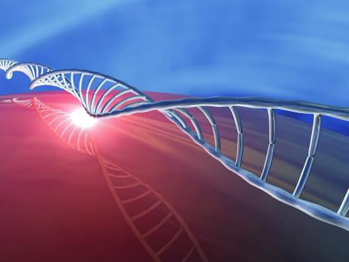 亲子鉴定有哪些 亲子鉴定有哪些