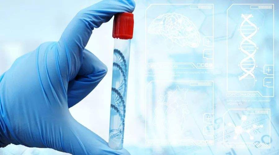 该做个人亲子鉴定吗 该做个人亲子鉴定吗