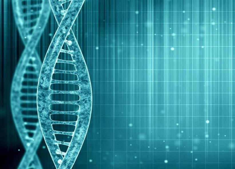 做胎儿dna亲子鉴定需要注意哪些事情? 做胎儿dna亲子鉴定需要注意哪些事情?