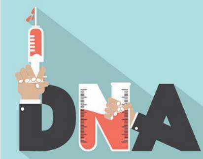 怀孕7个月可以做亲子鉴定吗 怀孕7个月可以做亲子鉴定吗