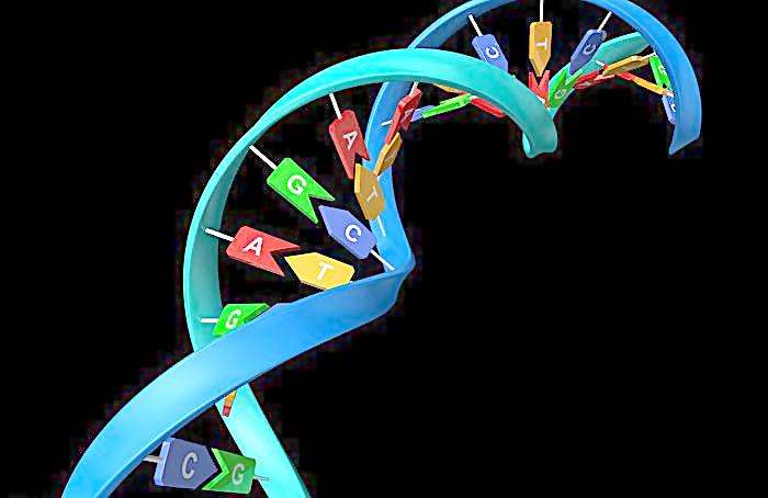 偷偷捡到的头发可以做亲子鉴定吗 偷偷捡到的头发可以做亲子鉴定吗