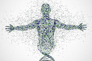 邢台怎么做落户亲子鉴定 邢台怎么做落户亲子鉴定