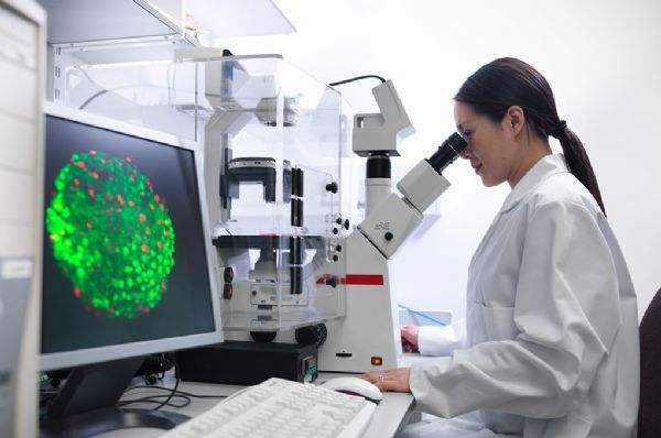 在天津想给女儿做亲子鉴定,需要准备什么东西?价格多少 在天津想给女儿做亲子鉴定,需要准备什么东西?价格多少