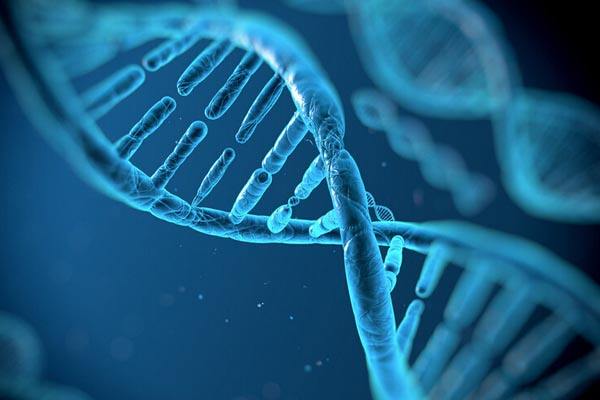 合肥哪里可以做亲子鉴定?刷牙可以做亲子鉴定吗? 合肥哪里可以做亲子鉴定?刷牙可以做亲子鉴定吗?