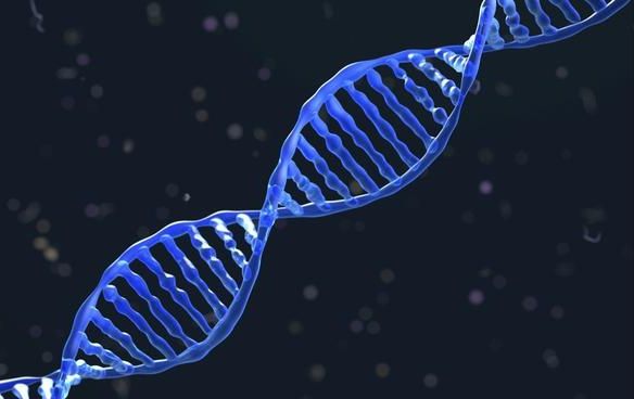 哈尔滨做司法亲子鉴定可以落户口吗? 哈尔滨做司法亲子鉴定可以落户口吗?