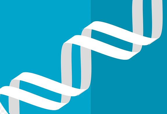 邢台无创亲子鉴定多少钱 邢台无创亲子鉴定多少钱