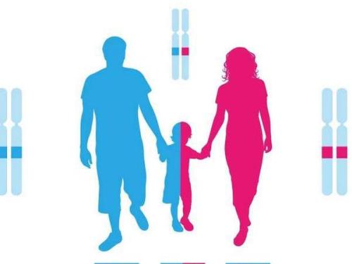 「头发亲子鉴定」拿儿童头发能做亲子鉴定吗 「头发亲子鉴定」拿儿童头发能做亲子鉴定吗