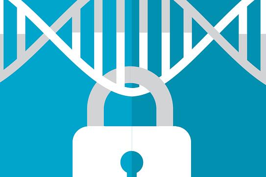 贵阳哪个医院可以做亲子鉴定 贵阳哪个医院可以做亲子鉴定