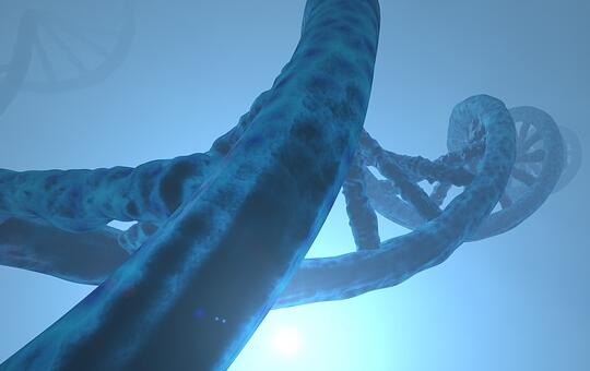 邢台哪里可以做个人亲子鉴定 邢台哪里可以做个人亲子鉴定