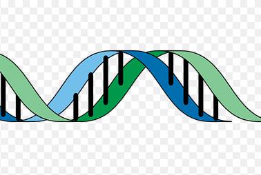 邢台做个人亲子需要什么样本,怎么采集 邢台做个人亲子需要什么样本,怎么采集