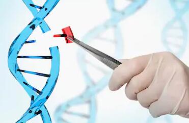 贵阳给三岁的孩子上户口做亲子鉴定需要什么证件 贵阳给三岁的孩子上户口做亲子鉴定需要什么证件