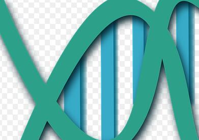 重庆妇科医院可不可以做亲子鉴定,怀孕多久可以做 重庆妇科医院可不可以做亲子鉴定,怀孕多久可以做