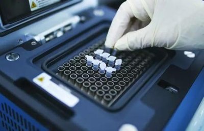 重庆亲子鉴定哪里正规? 重庆亲子鉴定哪里正规?