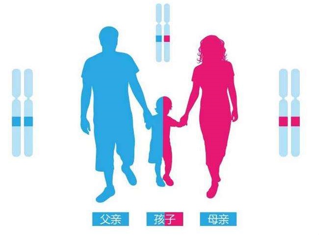 亲子鉴定有哪些种类?重启亲子鉴定好做吗? 亲子鉴定有哪些种类?重启亲子鉴定好做吗?