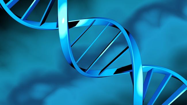 合肥哪里可以做亲子鉴定?怎么保护个人隐私?流程是怎样的? 合肥哪里可以做亲子鉴定?怎么保护个人隐私?流程是怎样的?