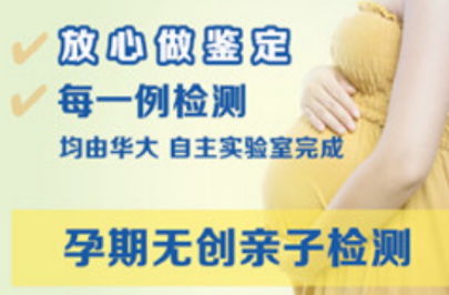 亲子鉴定